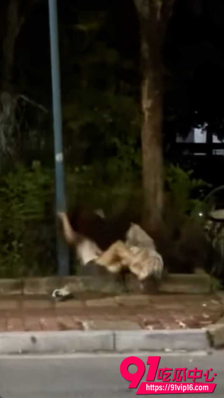 精神小妹打架视频6 精神小妹打架视频6