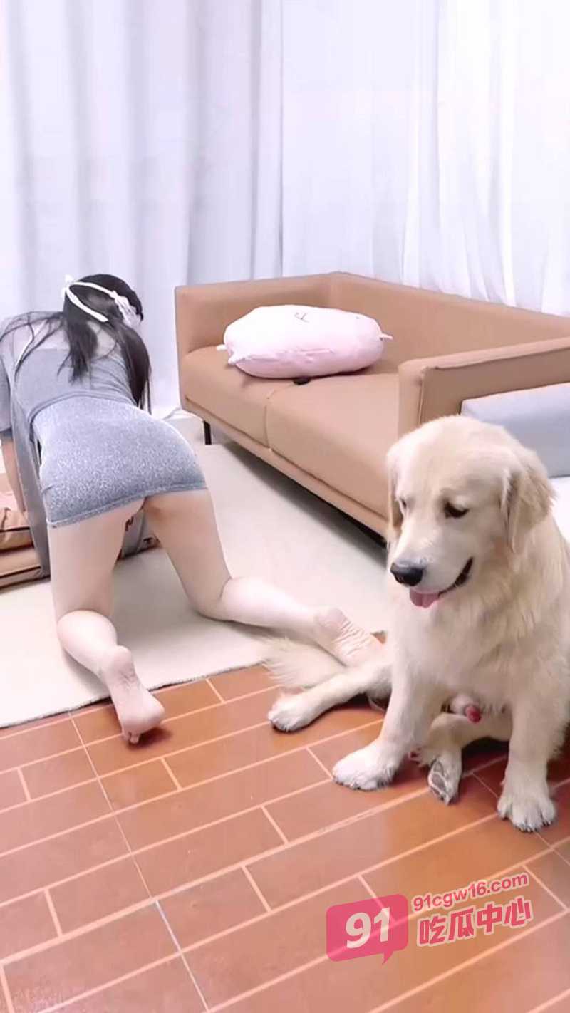 香香公主合集～与爱犬的性爱结合 被金毛内射 娴熟的动作让人可怕！ 配图5