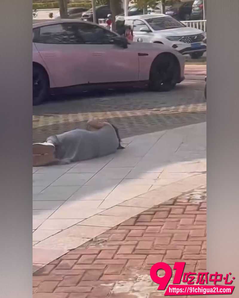 儋州网红大甜莲  12