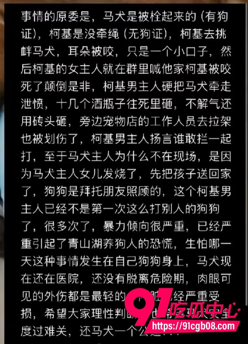浙江男子街头狂怒酒瓶砖头狠砸马犬 狗子血淋淋惨叫撕心裂肺 围观群众目睹暴力泄愤现场
