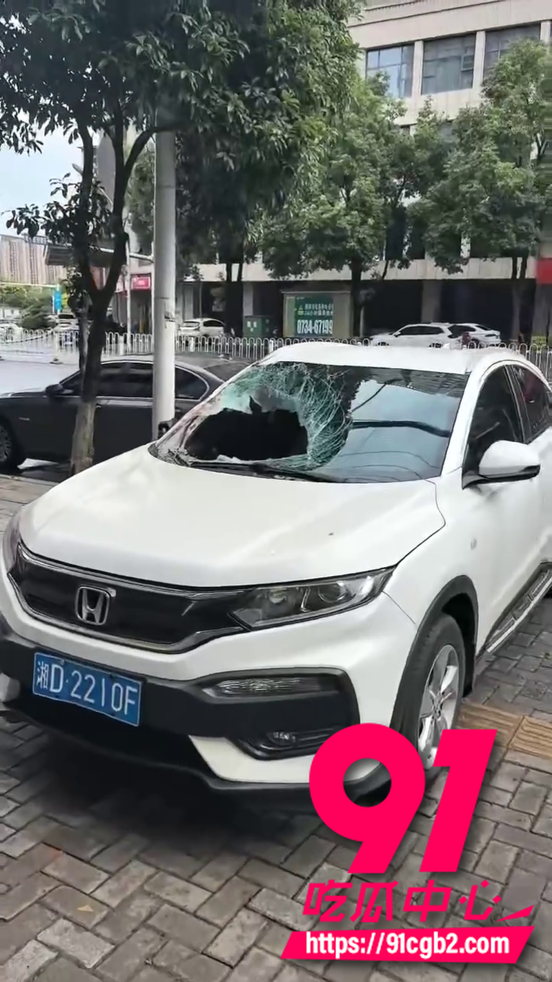 湖南祁东二十多岁女生 跳楼砸中车辆脑浆糊满车内 车主不幸中招 车辆严重损毁1 湖南祁东二十多岁女生 跳楼砸中车辆脑浆糊满车内 车主不幸中招 车辆严重损毁1