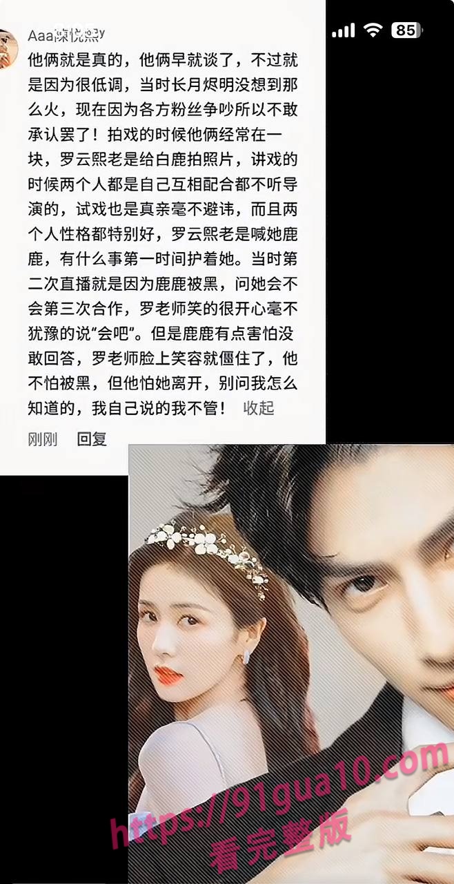 白鹿13