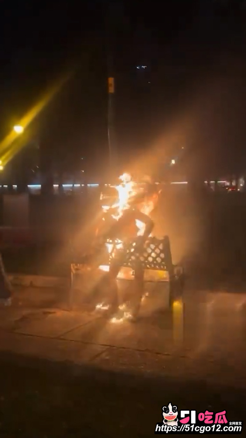 越南圣母大教堂自焚事件 3