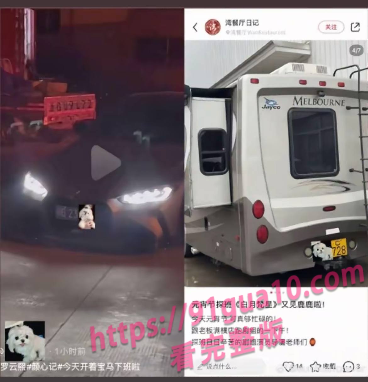 白鹿20