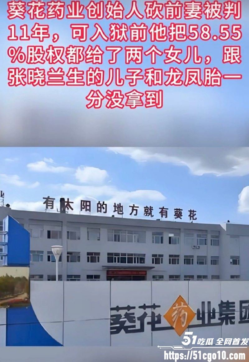 葵花药业关彦斌杀妻案 6 葵花药业关彦斌杀妻案 6