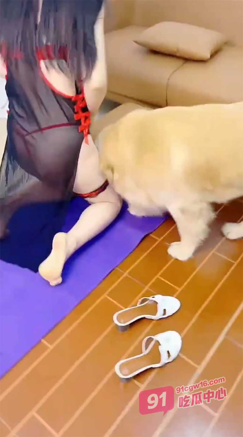 香香公主合集～与爱犬的性爱结合 被金毛内射 娴熟的动作让人可怕！ 配图4