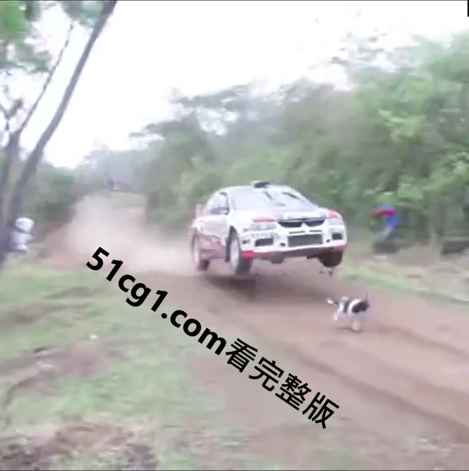 那些命硬的人