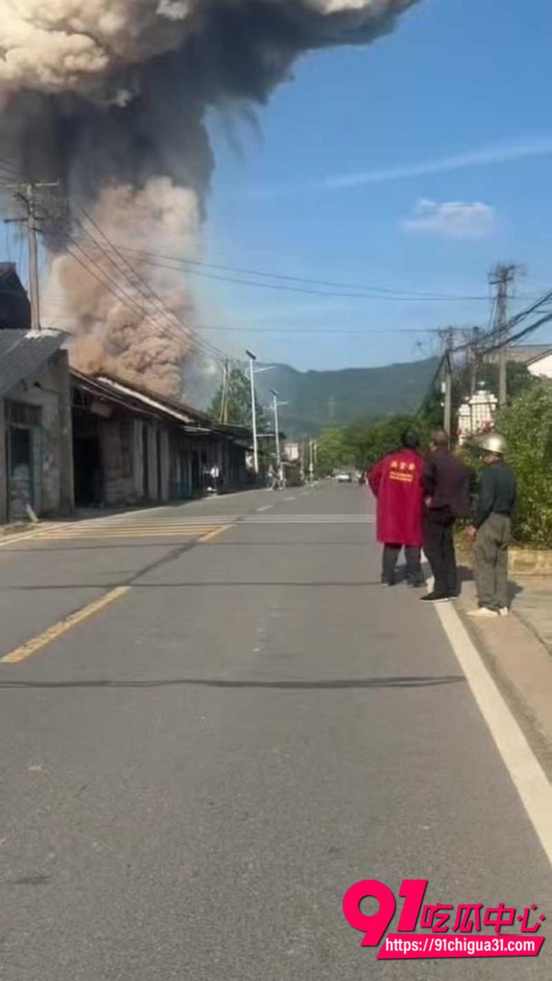 浏阳烟花厂爆炸 7