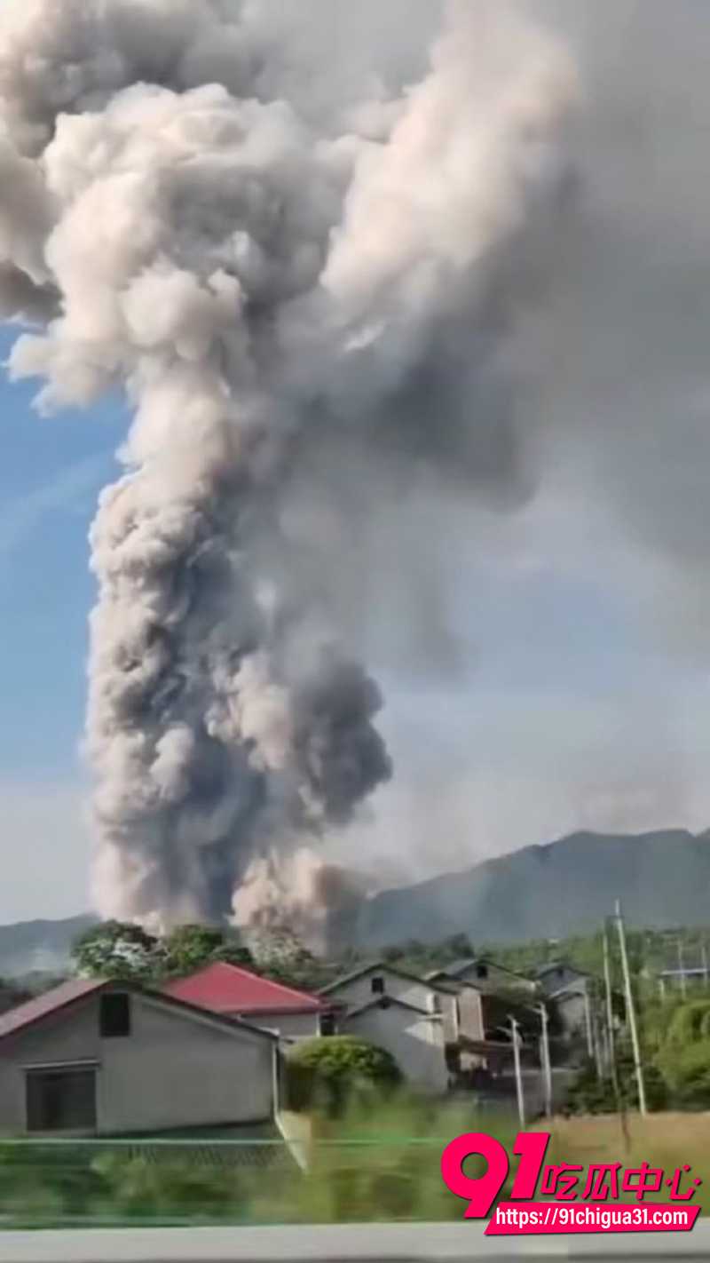浏阳烟花厂爆炸 3