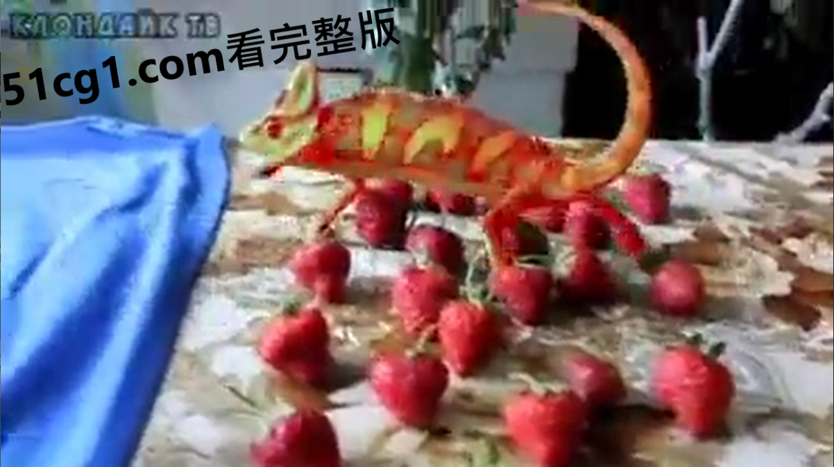 #变色龙 #奇趣生物