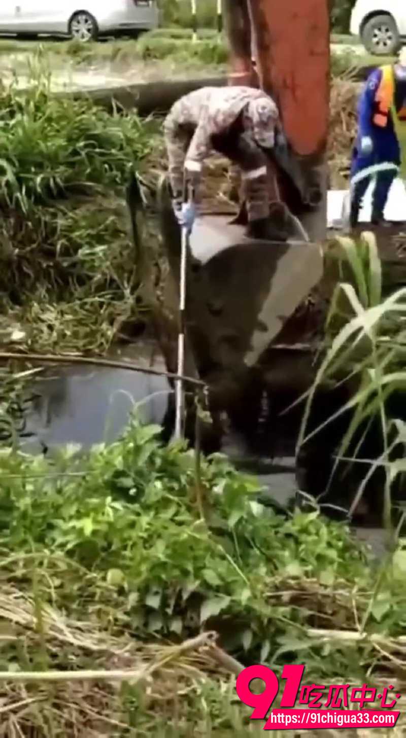 巨型鳄鱼吃人事件 3