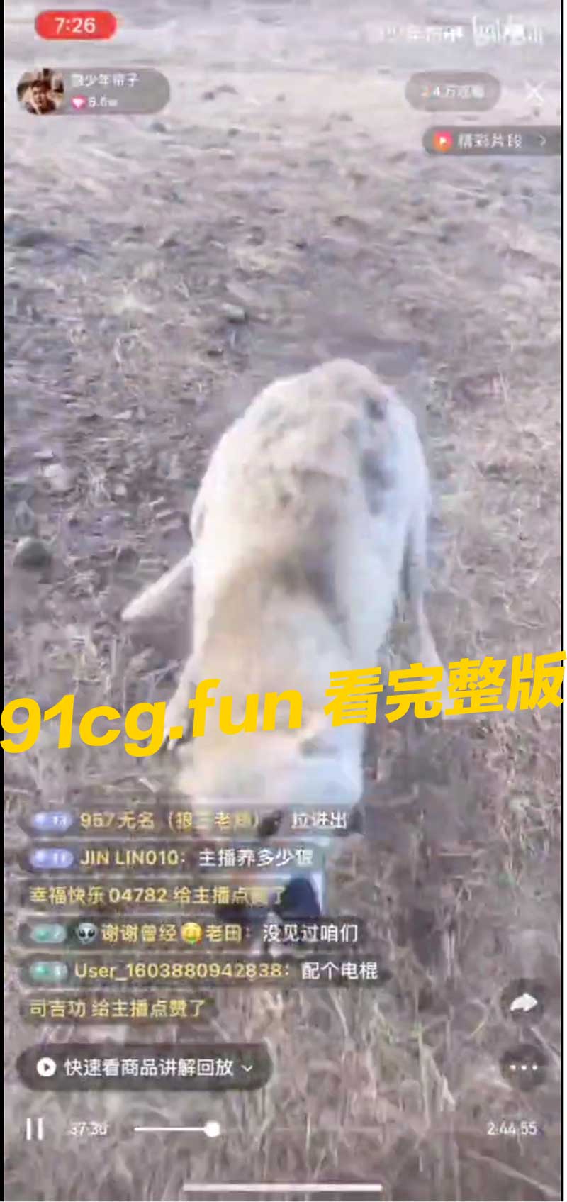 狼2