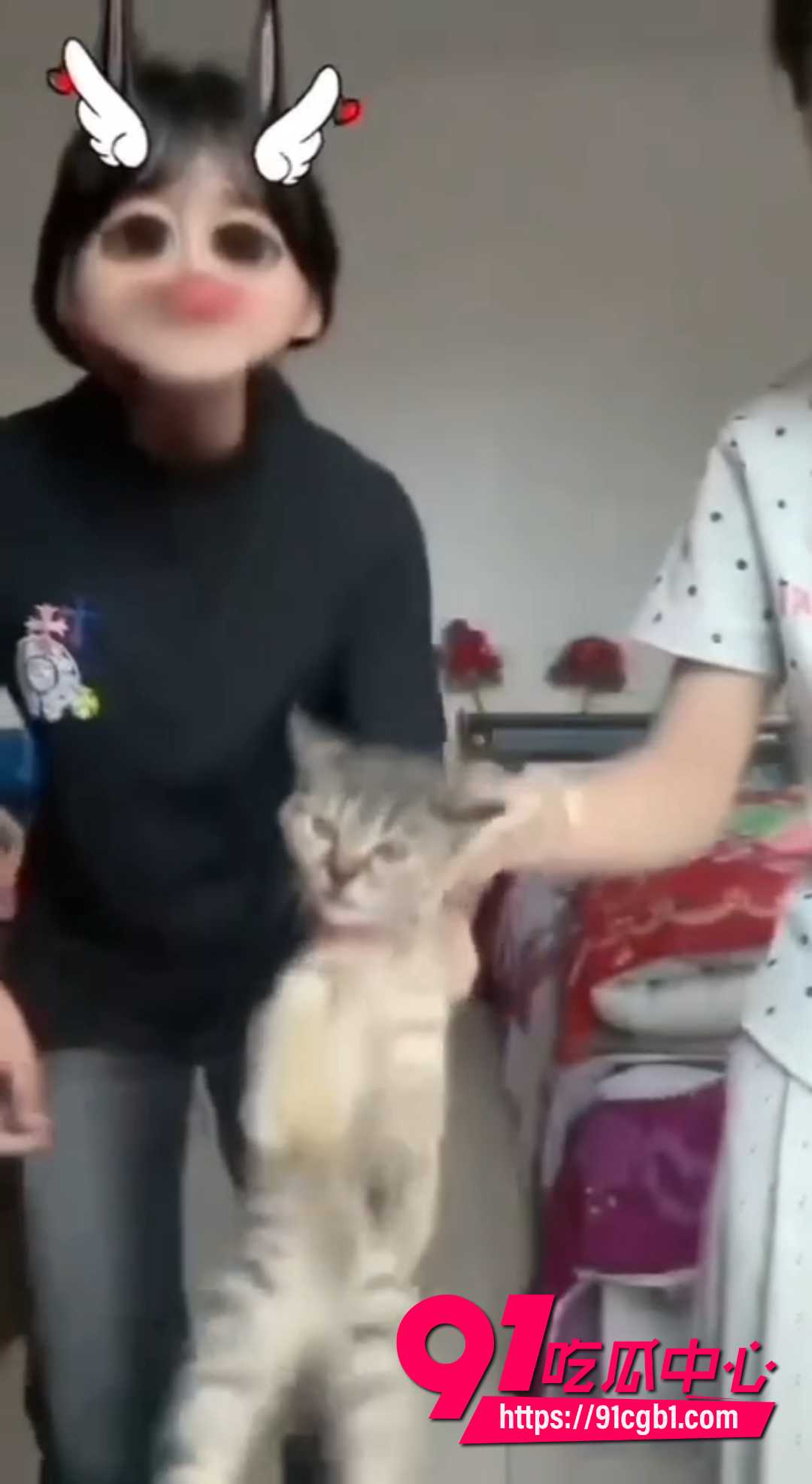 快手女生虐猫视频 4 快手女生虐猫视频 4