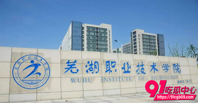 11安徽芜湖职业技术学院  1