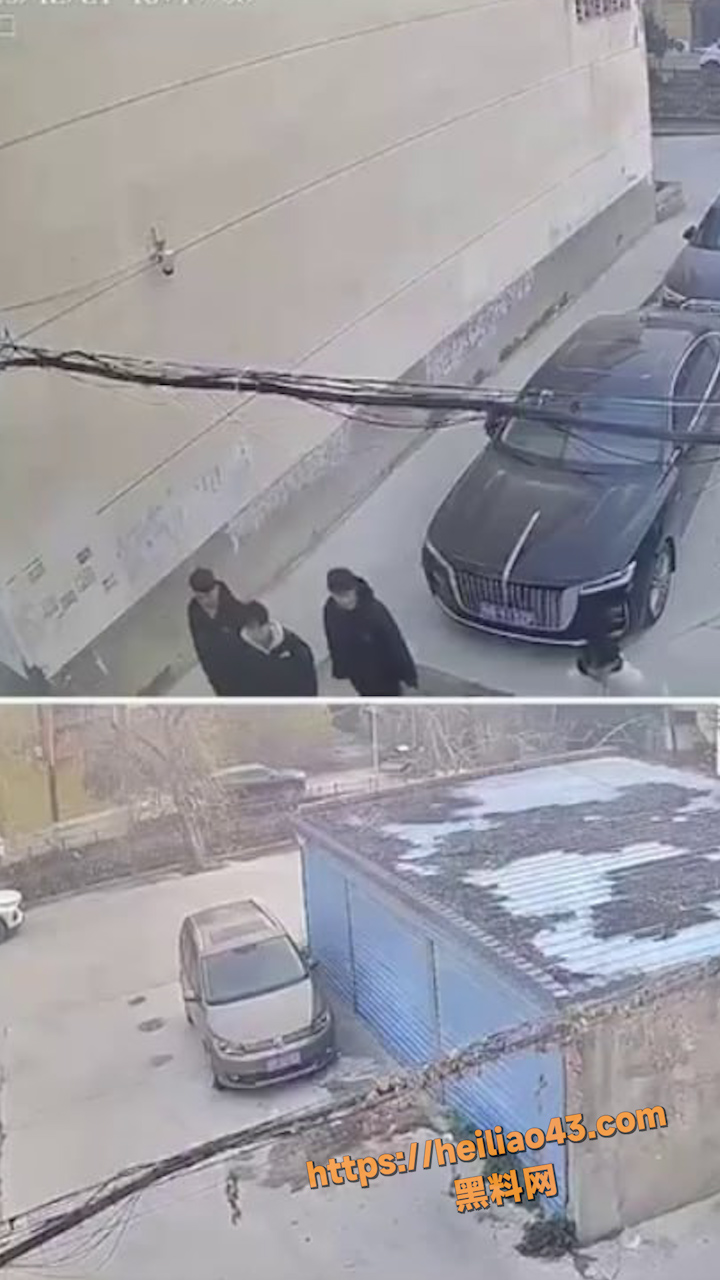 河南邓州 精神小伙 聚众斗殴 小小年纪还动上刀了 真是初生牛犊不怕虎！