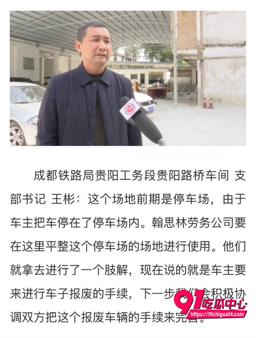 支部书记王彬遛狗打人事件2 支部书记王彬遛狗打人事件2