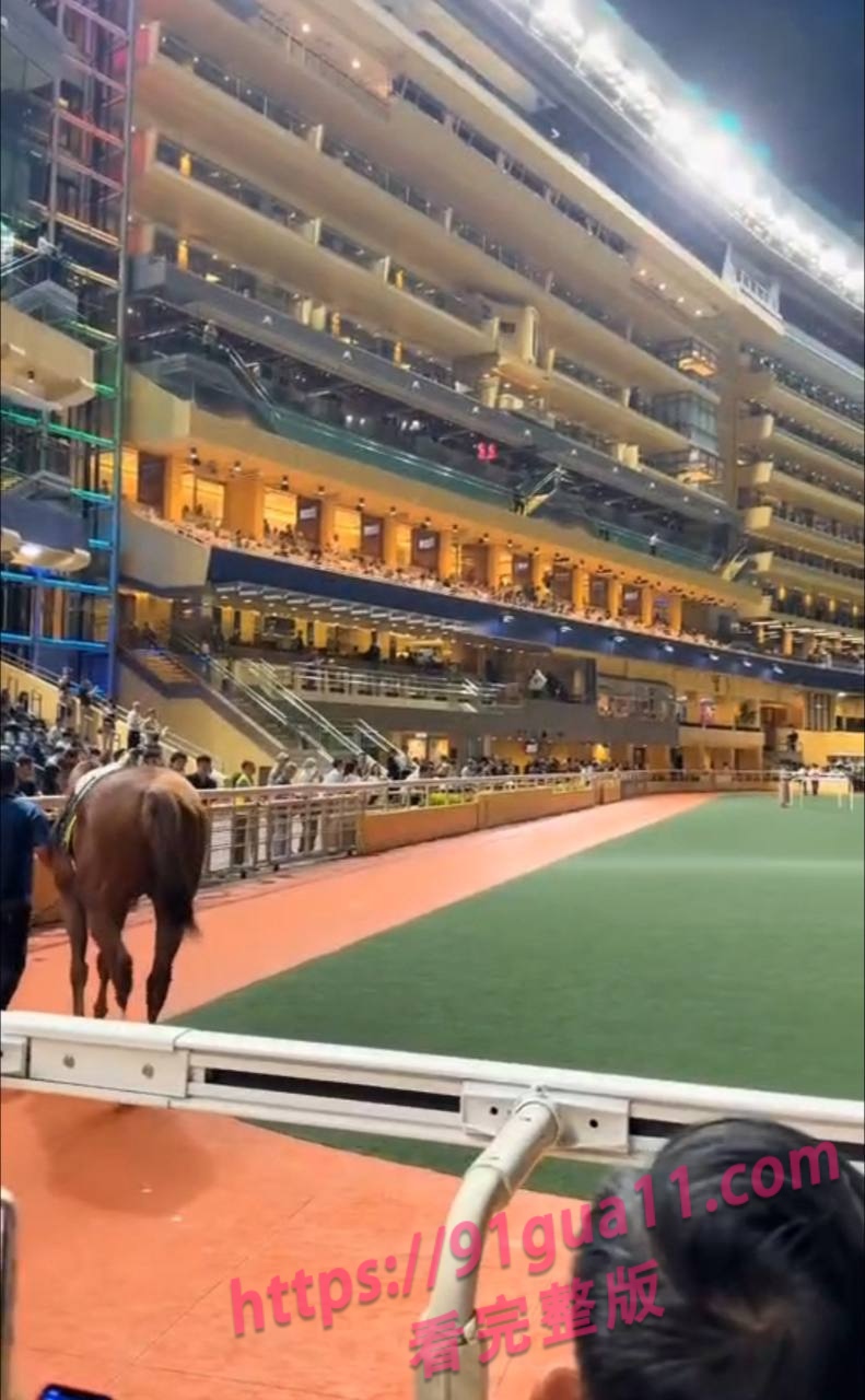 香港赛马会发生重大踩踏事故 现场视频曝光触目惊心！