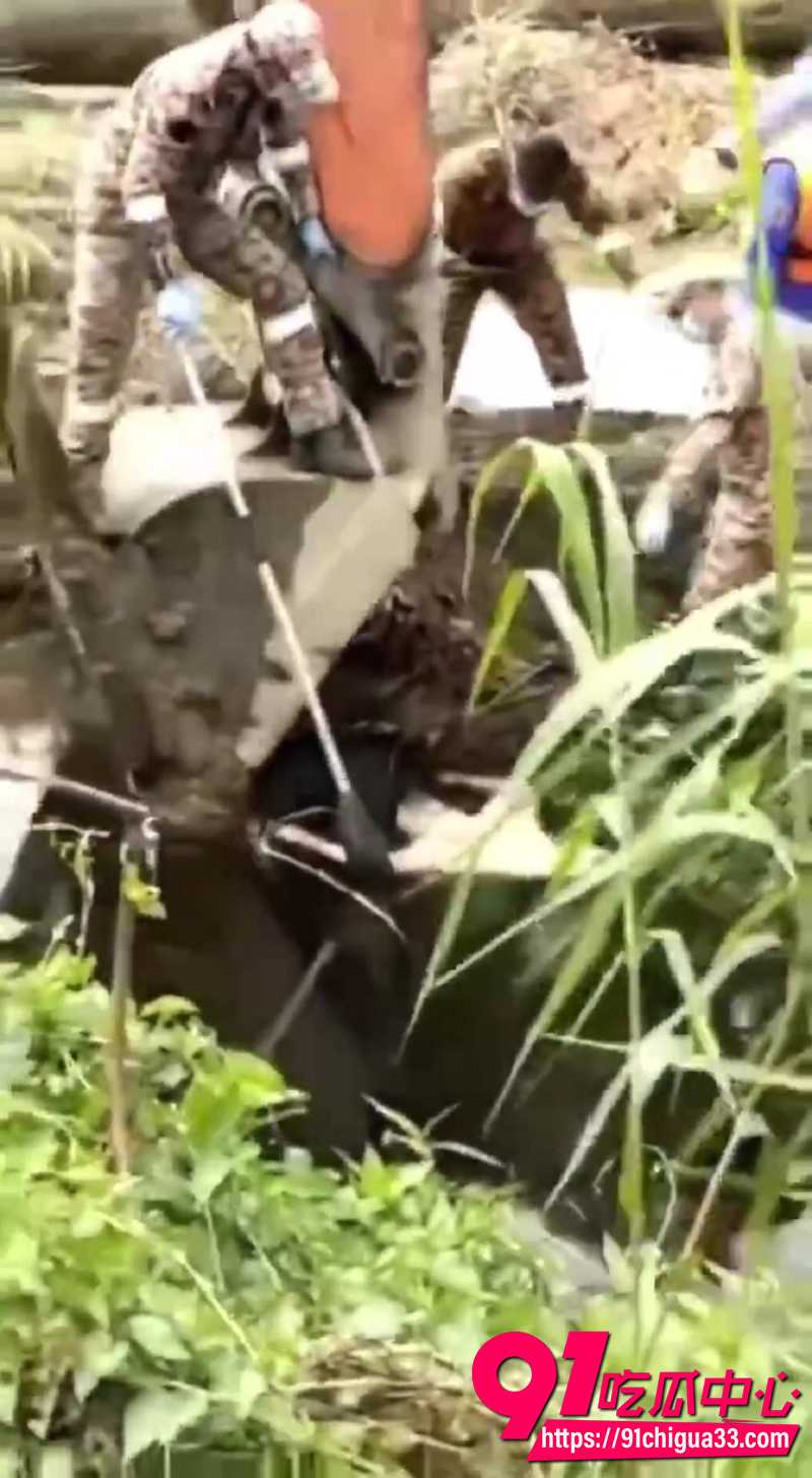 巨型鳄鱼吃人事件 6