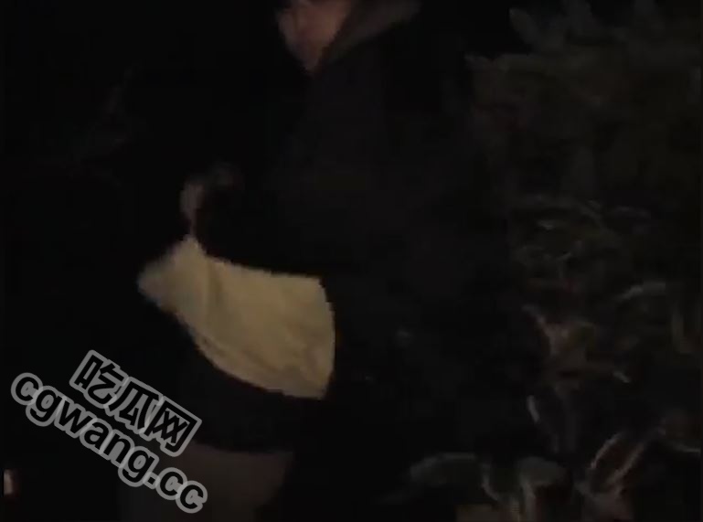 [日本黑暗]日本真实强奸视频，晚上在街上行走的女孩被绑架和强奸，强奸的真正快感是阴道射精