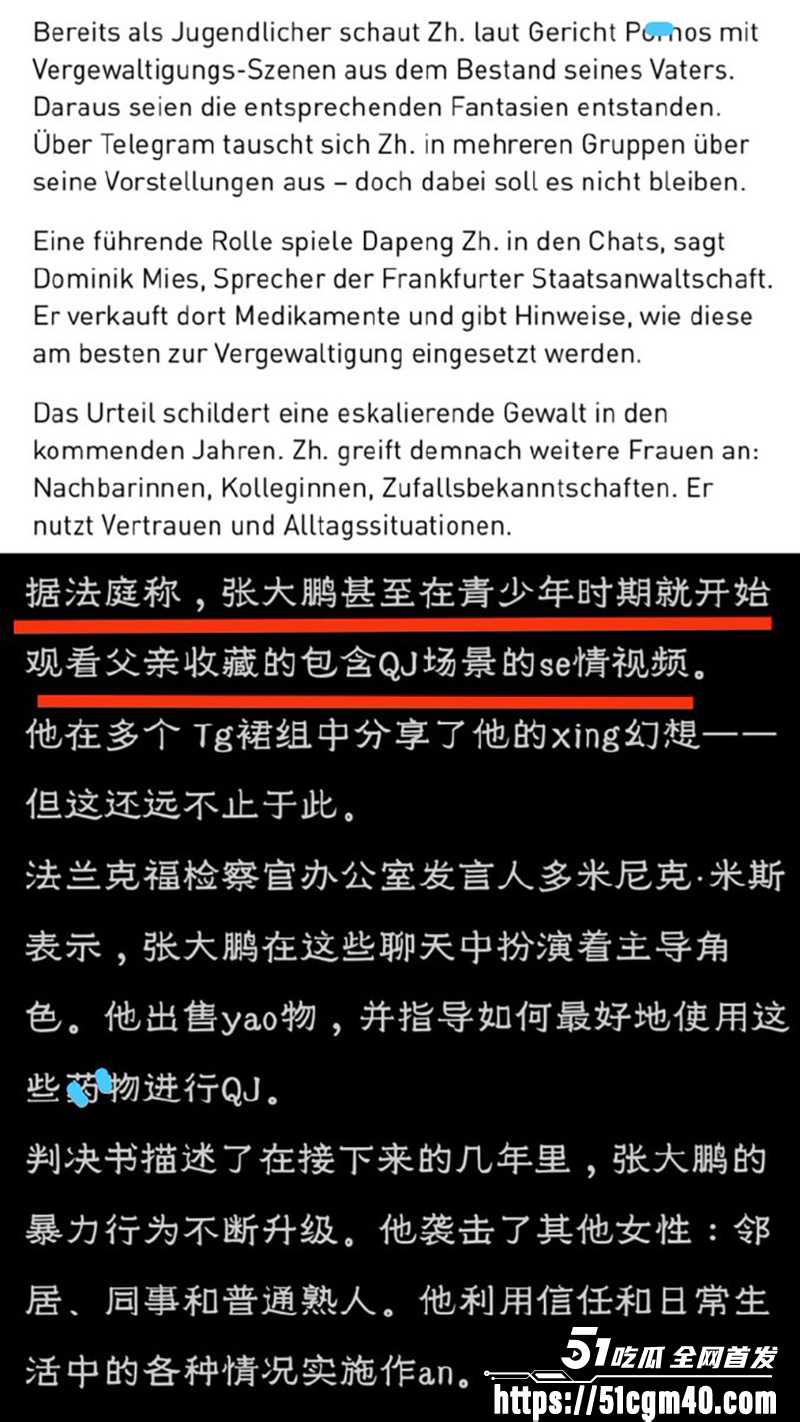 张大鹏德国迷奸案后续 28 拷贝