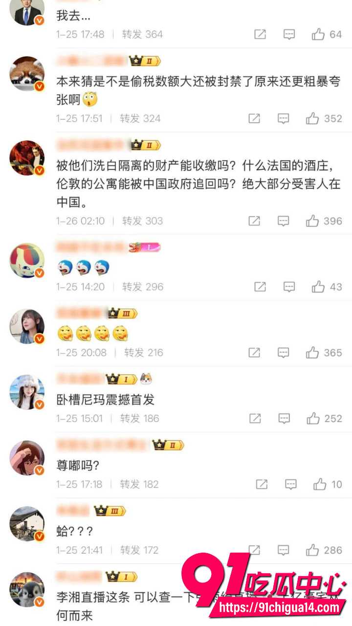 赵薇老公弟弟佘智江引渡回国19