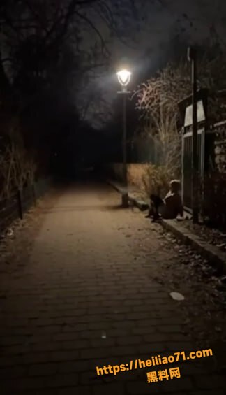 深夜公园 惊现妹子完成主人的任务 潮喷三米高 兄弟们这波怎么评？