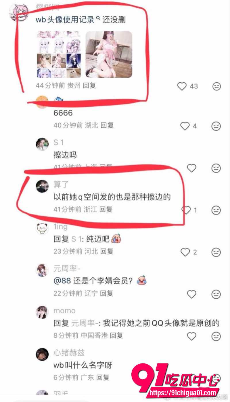 狼队道崽女友星之卡比13