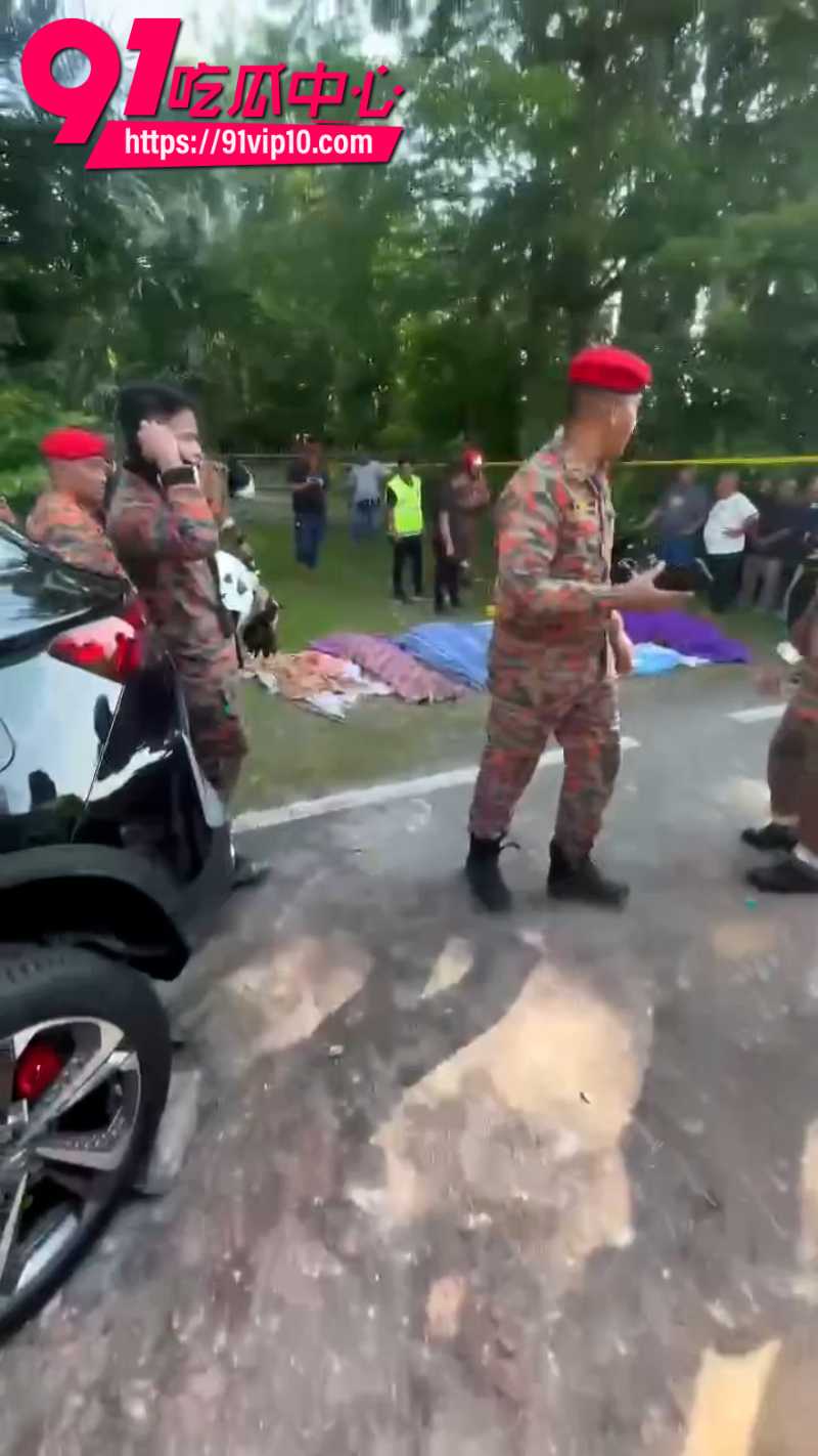 马来西亚男子才提新车就逆行撞卡车车辆严重变形造成多人死亡6
