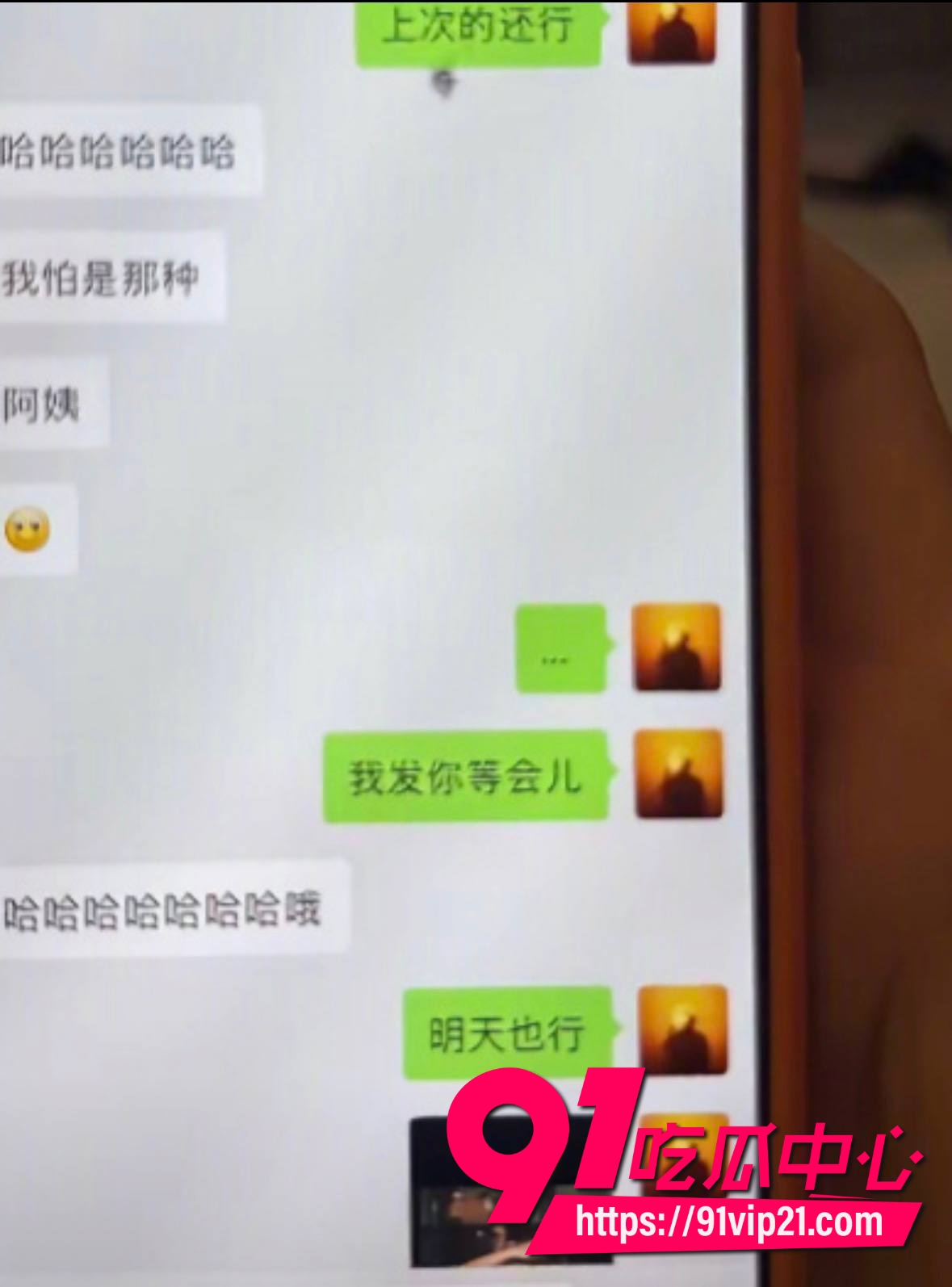 纯情北极兔崩了8