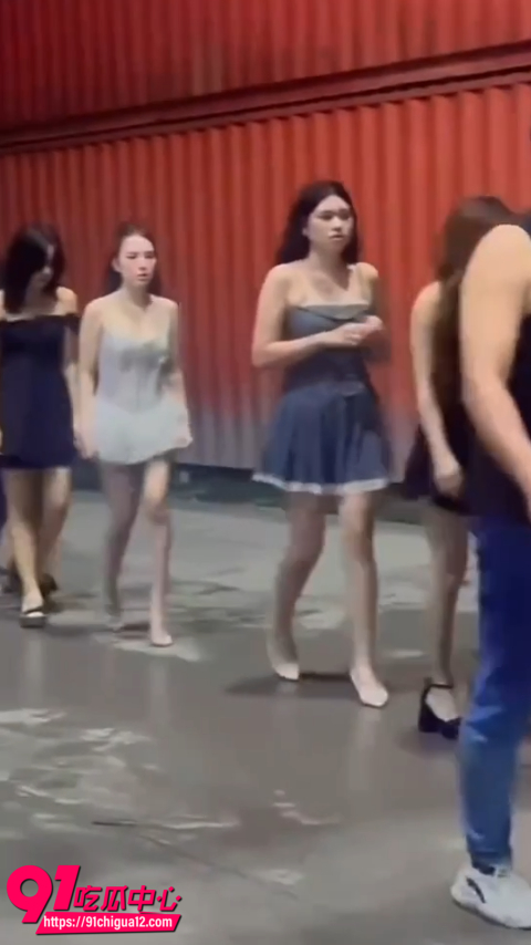 东南亚女猪仔合集5