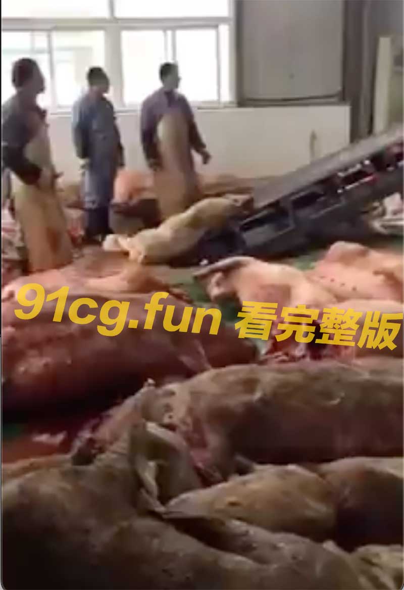 黑心加工厂!山东病死猪绞碎当原料制肉馅销往农贸市场!