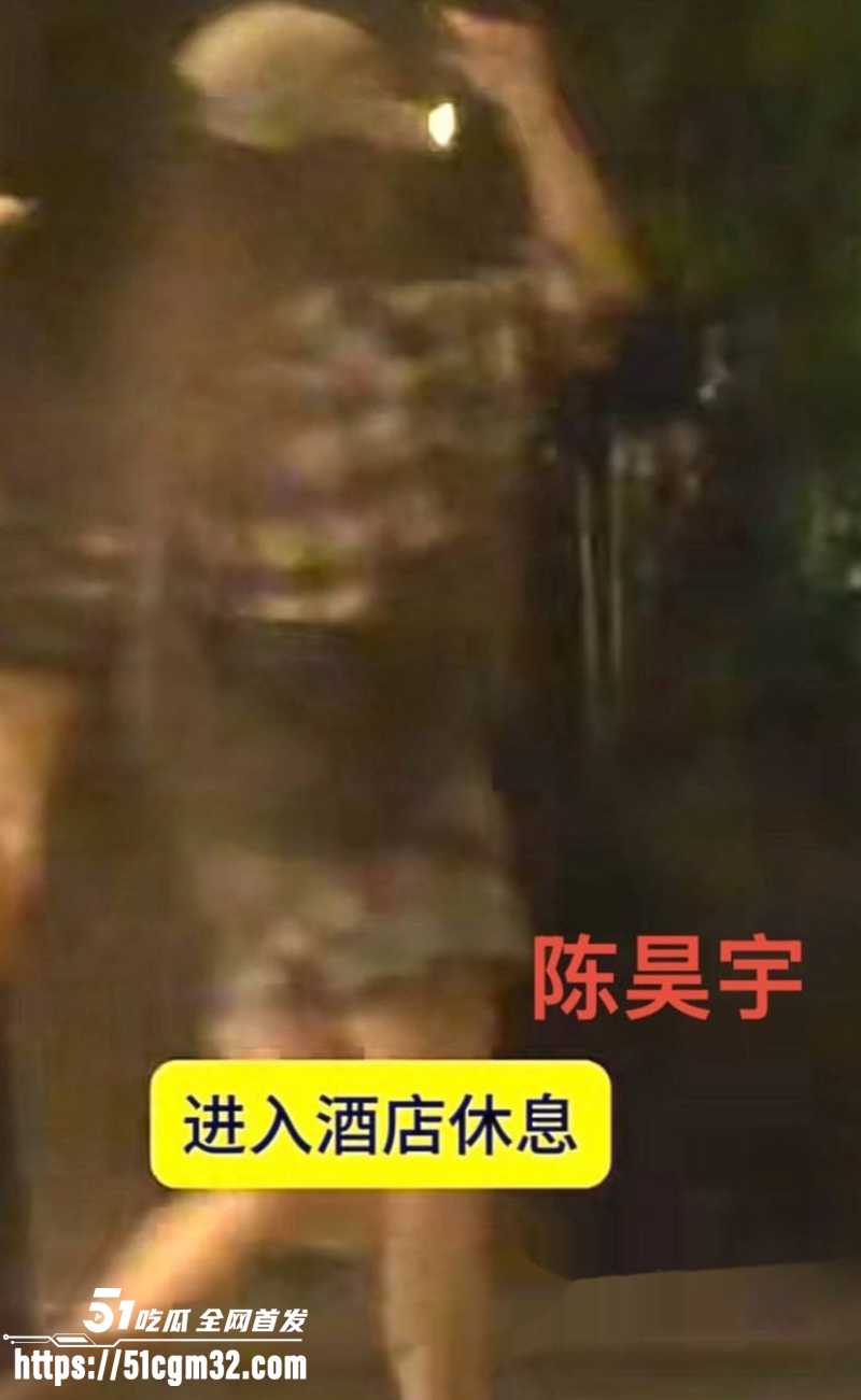 顶流女演员 陈昊宇 知三当三  8