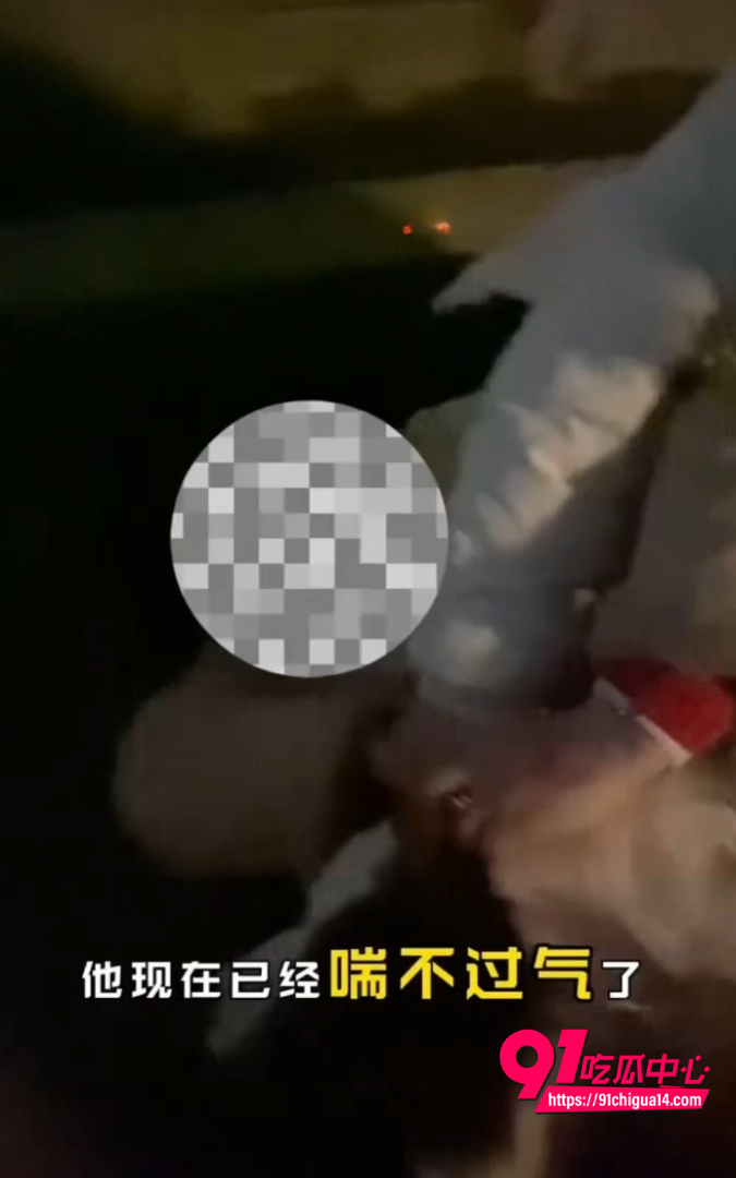 支部书记王彬遛狗打人事件4
