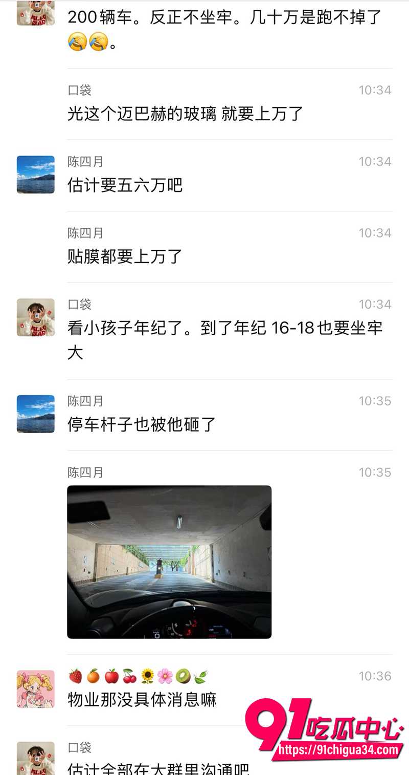 少年狂砸200辆豪车 4