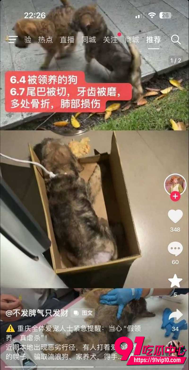 重庆山姆打包哥 7