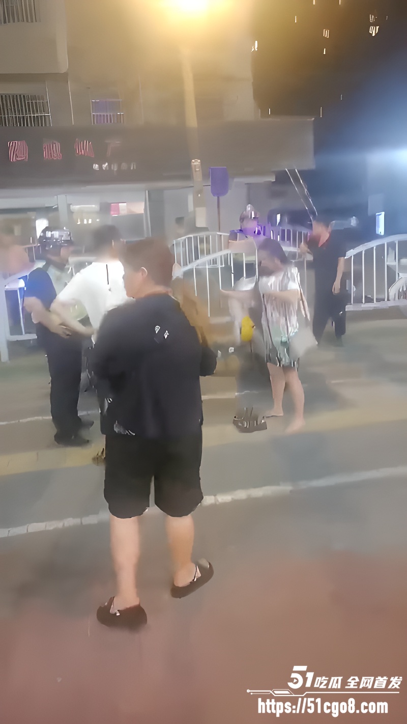 上海街头 原配与小三互殴 2 上海街头 原配与小三互殴 2