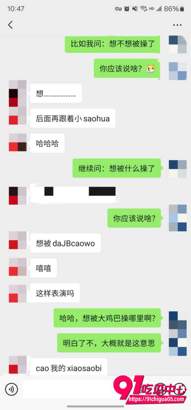 老虎菜9 老虎菜9