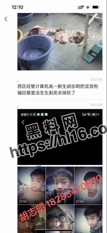 四川科技职业学院通报俩名学生虐狗杀狗事件！恶劣程度达到非常严重，最后给予俩名学生留校处分！