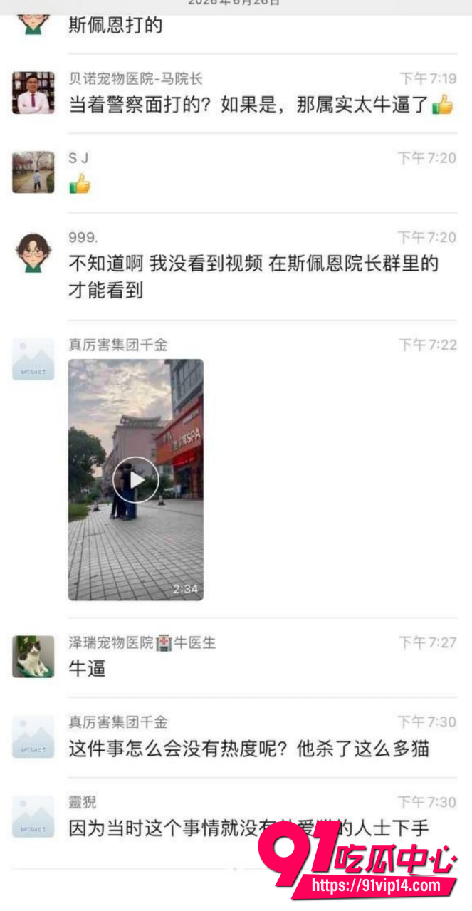 宠物碰瓷6