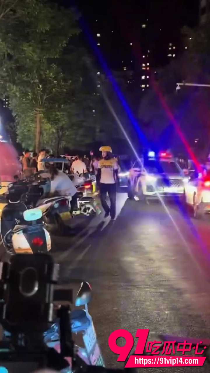 青岛即墨宝龙广场夜市狗贩纠纷8