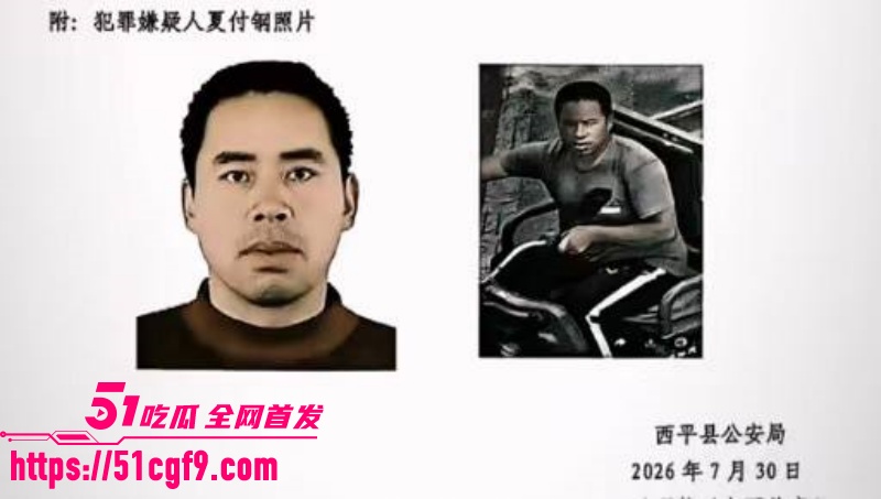 河南西平县重大刑案 1