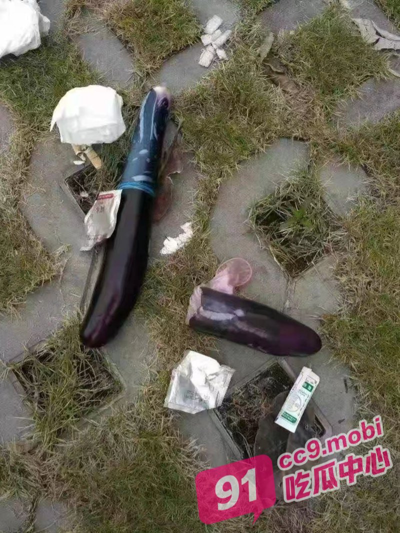 消失的茄子 妇女之宝茄子的妙用 请科学使用否则会跟视频里一样
