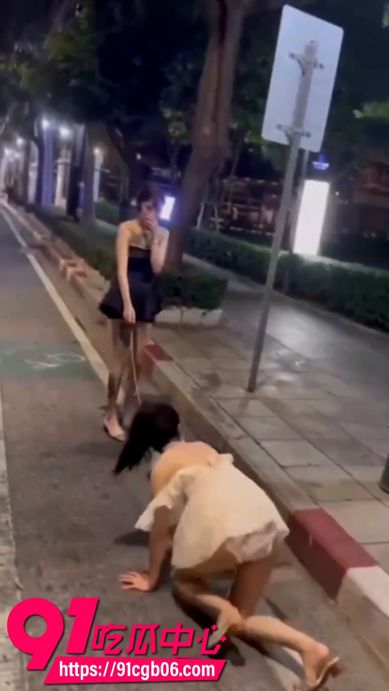 广东街头一名小仙女被拴上狗链户外爬行网页素材4改