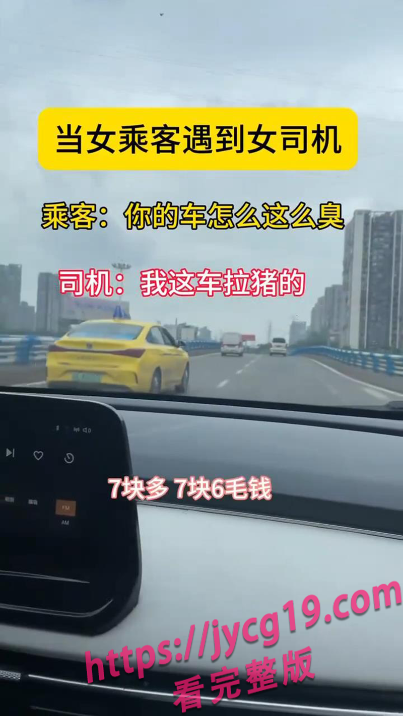 女乘客指定女司机 结果把女司机送进了情绪屋 配图3