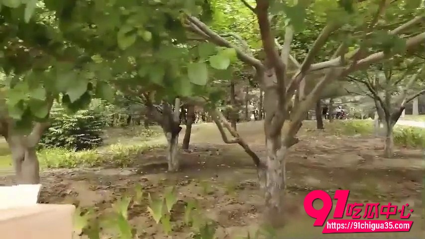 户外露出2