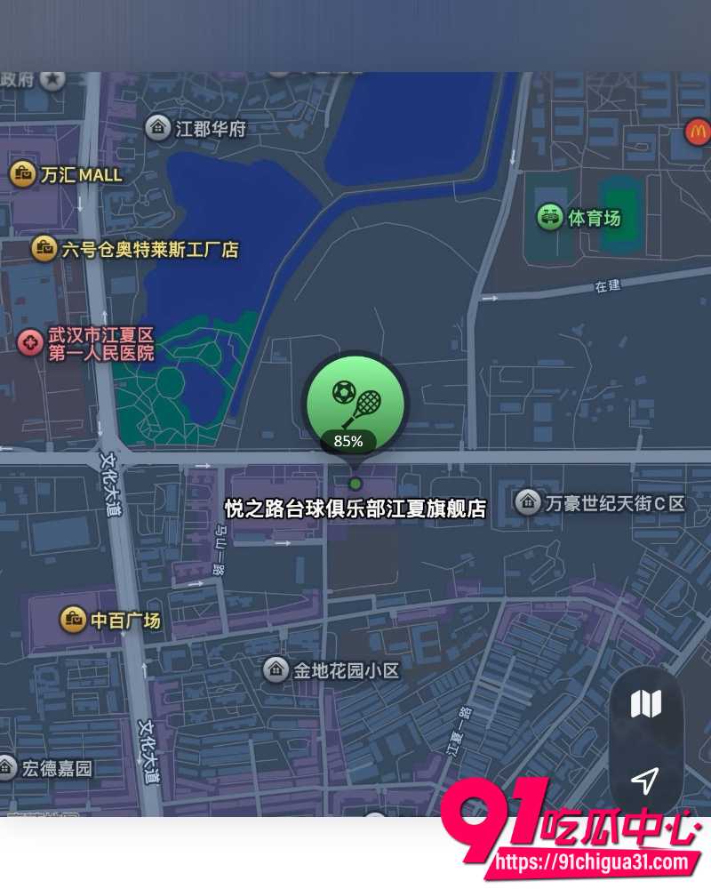 武汉江夏区悦之路台球厅 惊现卖淫服务 60名助教被一锅端 群友爆出双飞助教记录!