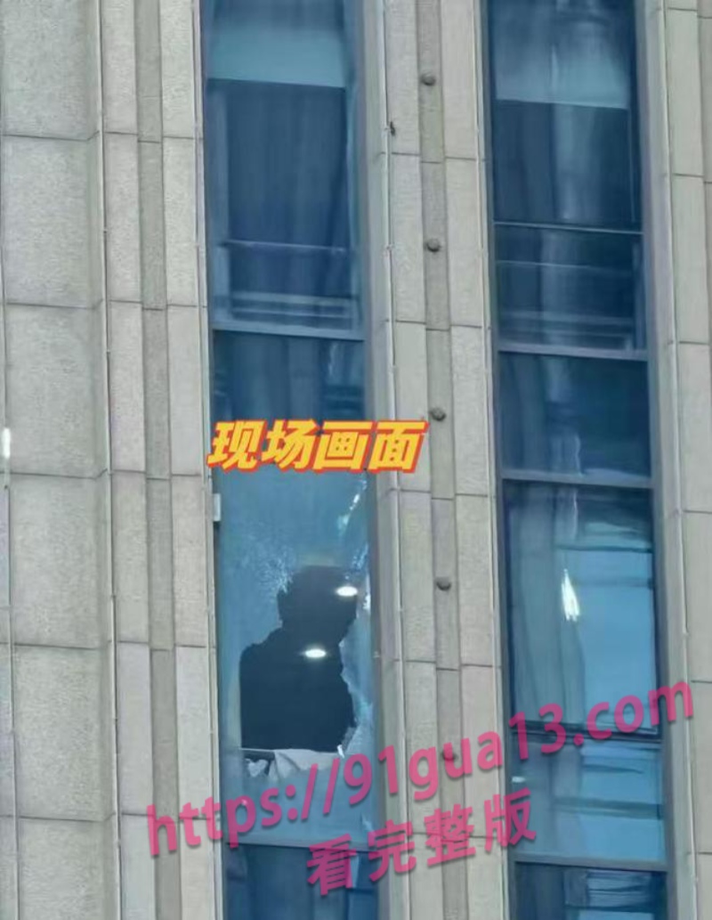 南航机长李煜众捅伤4人后跳楼 考核风波引热议 妻子发声遭限流 配图32