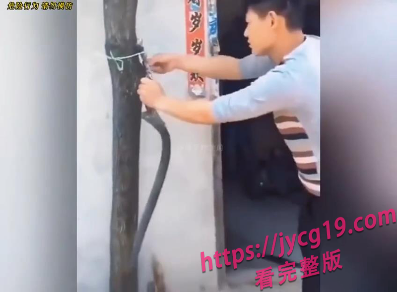 惹谁不好惹动物！挑衅反被爆打的爆笑翻车现场 配图3