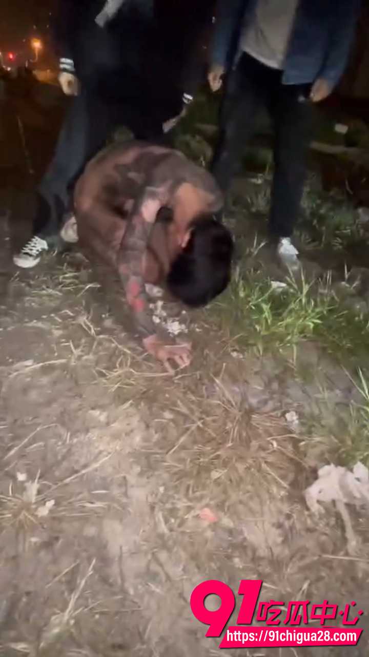 纹身精神小伙深夜草地被多人围殴5