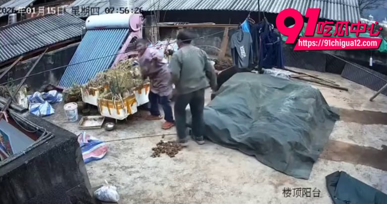 云南盈江家暴4